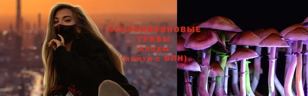 прущие крисы Армянск